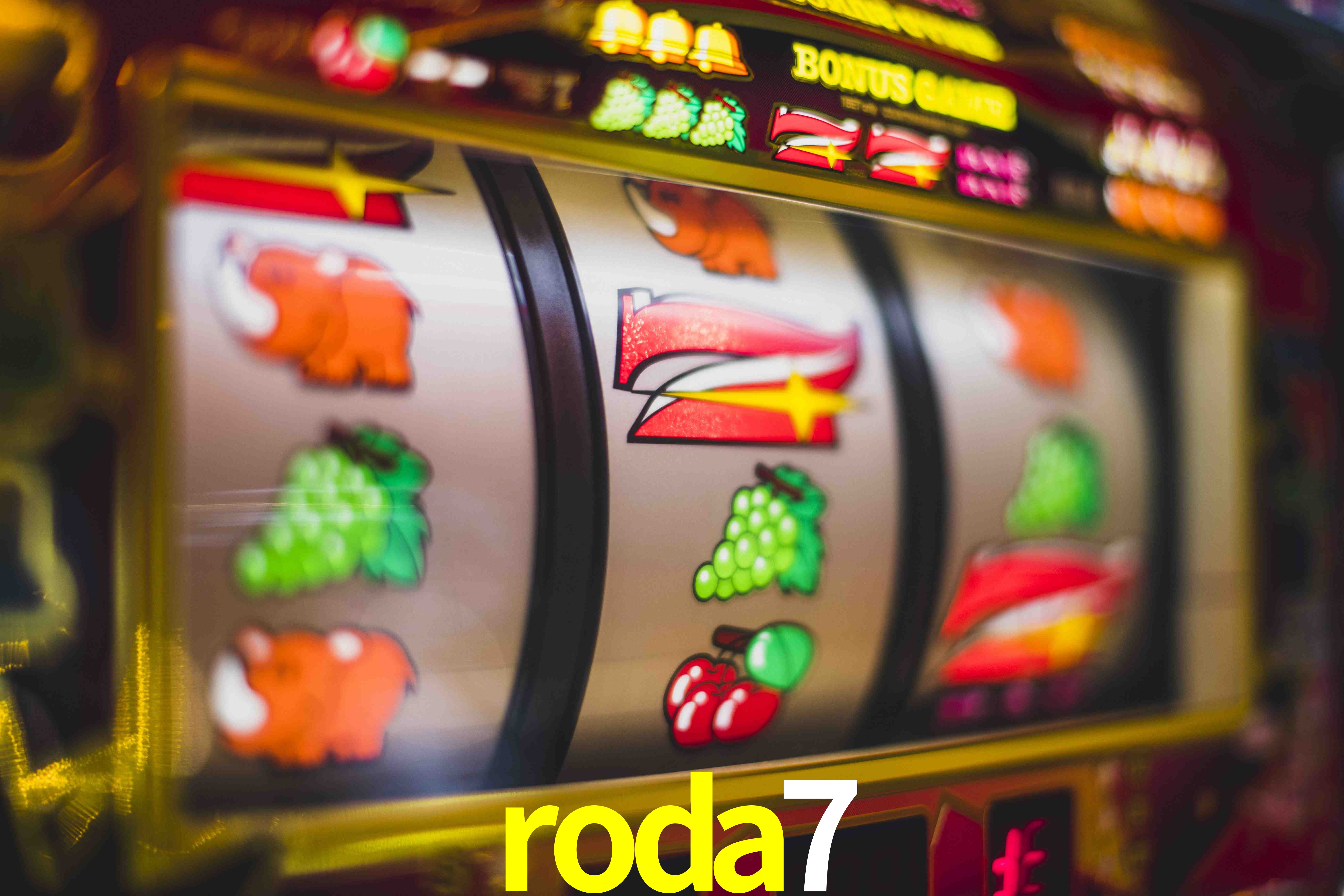 Secure Login roda7